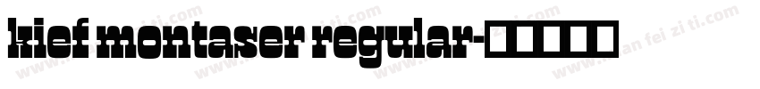 kief montaser regular字体转换